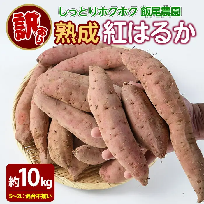 《 訳あり 》飯尾農園 紅はるか 約10kg 芋 いも さつまいも サツマイモ 鹿児島県産 国産 長島町産 べにはるか 熟成【飯尾農園】miio-7232
