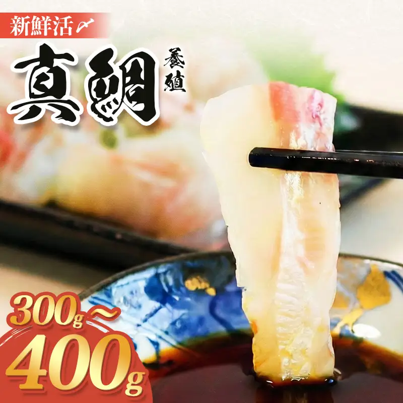 （冷蔵） 鯛 1匹 セット A 300g ～ 400g 鯛 鯛 鯛 鯛 鯛 鯛 城水産