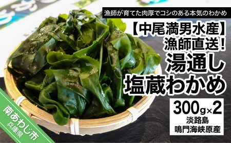 【漁師直送】湯通し塩蔵わかめ300ｇ×2袋【淡路島鳴門海峡原産】