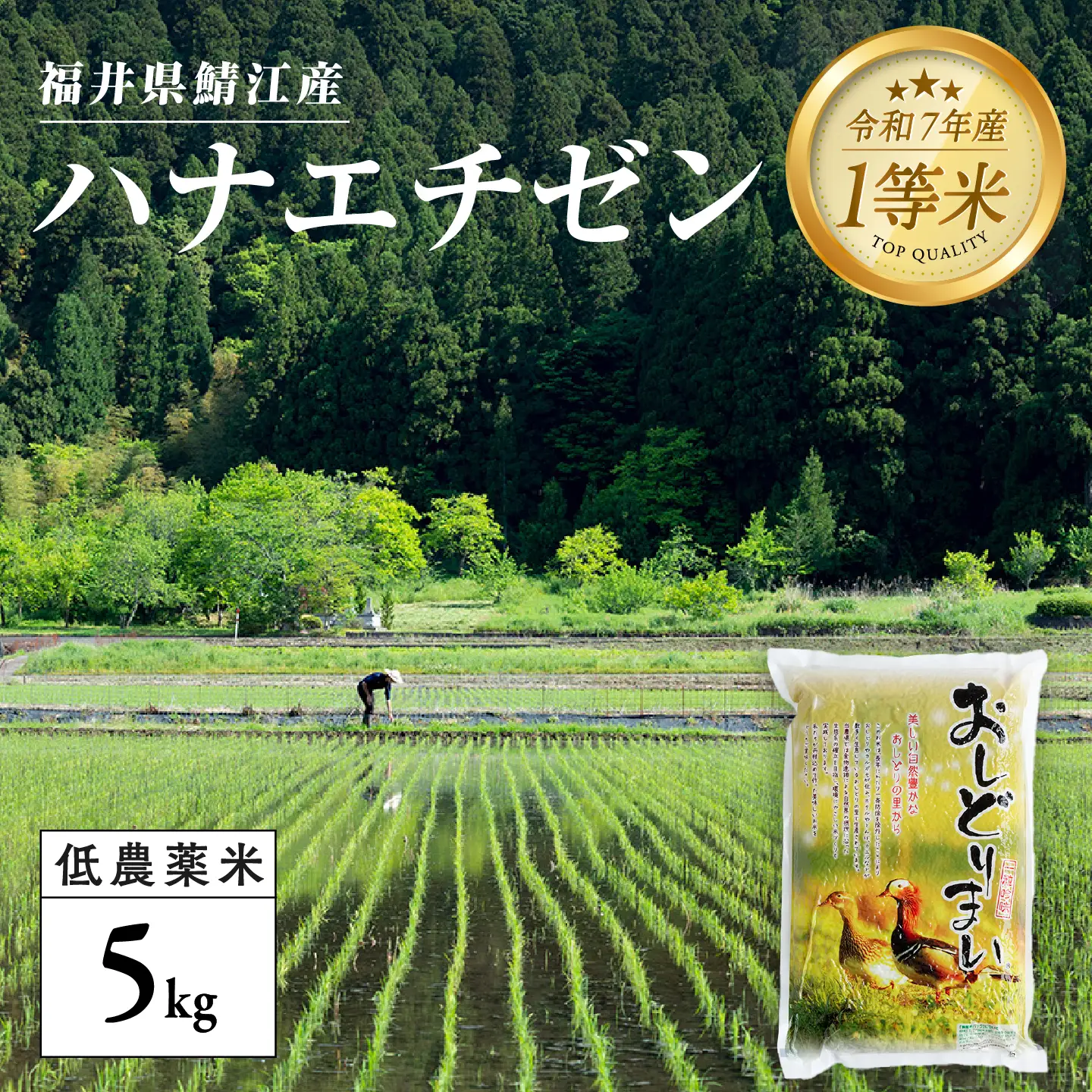 【令和7年産】福井県産 おしどり米 ハナエチゼン 5kg