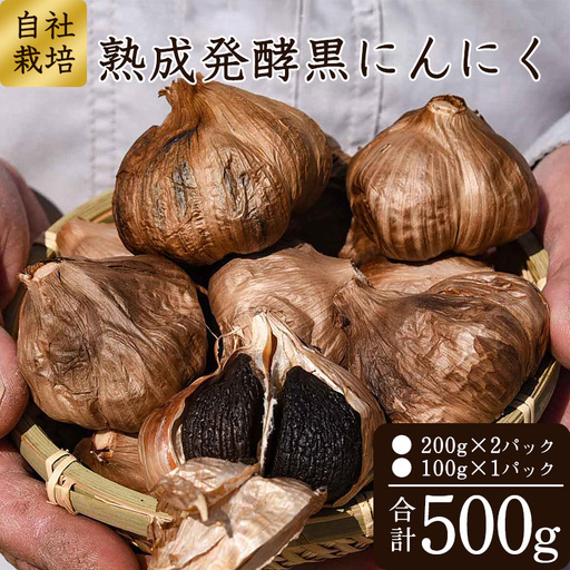 発酵熟成 黒にんにく 500g　013-G-JF011