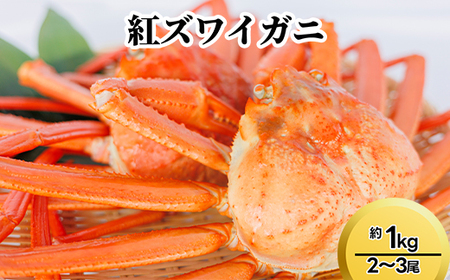 紅ズワイガニ約1kg（2～3尾）※2026年9月～発送