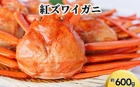 紅ズワイガニ約600g　※2026年9月～発送