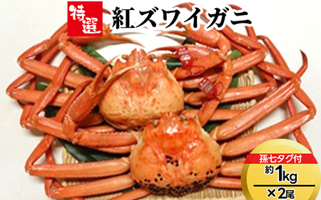 【特選】紅ズワイガニ約1kg×2尾（孫七タグ付）※2026年9月～発送