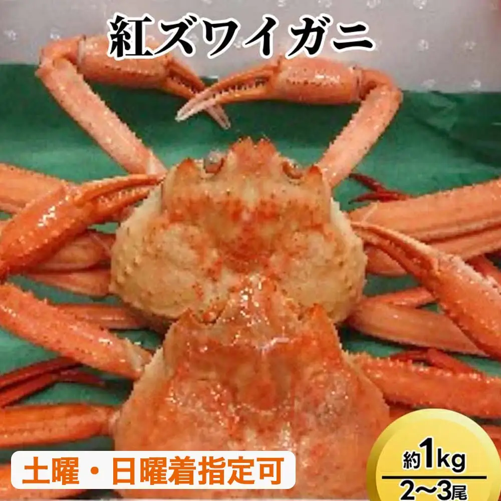 【おすすめ】紅ズワイガニ約1kg（2～3尾）【棚辺水産】 ※2026年9月～発送