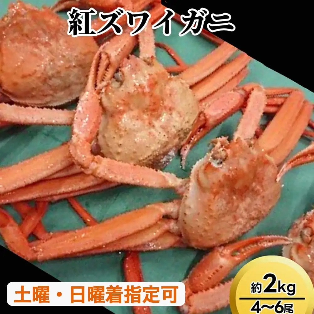 紅ズワイガニ約2kg（4～6尾）【棚辺水産】 ※2026年9月～発送
