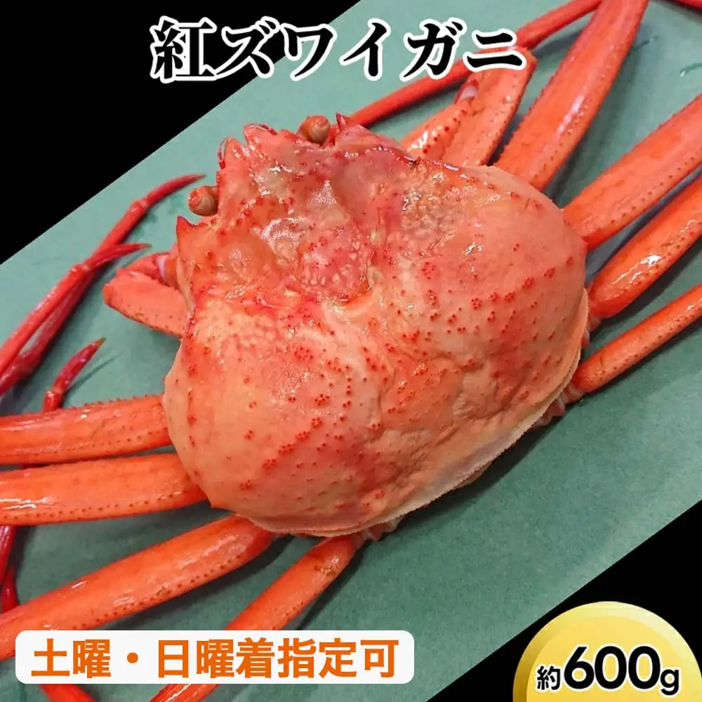 紅ズワイガニ約600g【棚辺水産】 ※2026年9月～発送