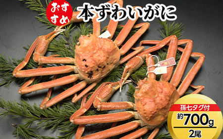【おすすめ】本ずわいがに約700g×2尾（孫七タグ付き）※2026年11月～発送
