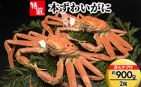 【特選】本ずわいがに約900g×2尾（孫七タグ付き）※2026年11月～発送