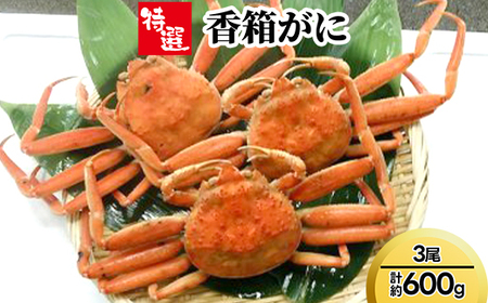 【特選】香箱がに3尾（計約600g）※2026年11月～発送