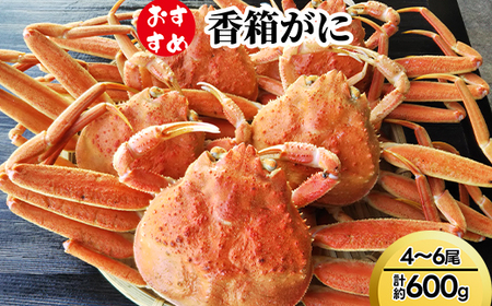 【おすすめ】香箱がに4～6尾（計約600g）※2026年11月～発送