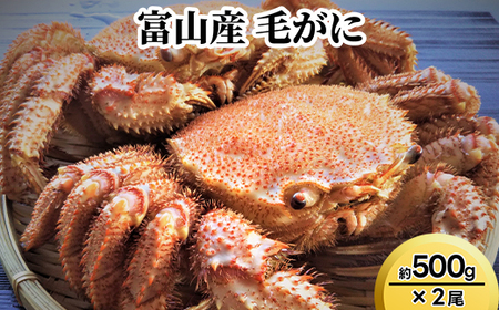 富山産　毛がに約500g×2尾　※2026年11月～発送