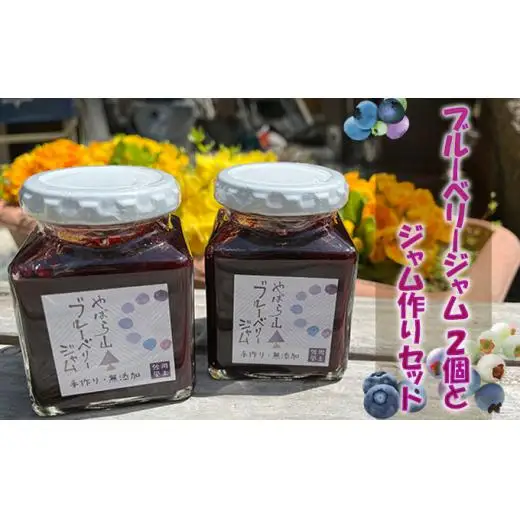 ブルーベリージャム2個と ジャム作りセット（冷凍ブルーベリー 1kg＋グラニュー糖） フルーツ 自家製ジャムキット 