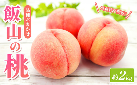 桃 約 2kg もも ピーチ 桃