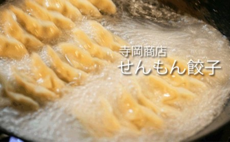 餃子 せんもん餃子 寺岡商店 餃子セット ぎょうざ ギョウザ 肉 お肉 豚肉 豚 加工品 肉汁 惣菜 