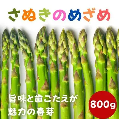【2027年2月上旬以降発送予定】アスパラガス さぬきのめざめ 早出し 春芽 約800g 香川県 丸亀市 アスパラ
