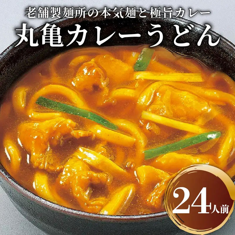 カレーうどん 24人前 スープ付 さぬきうどん 
