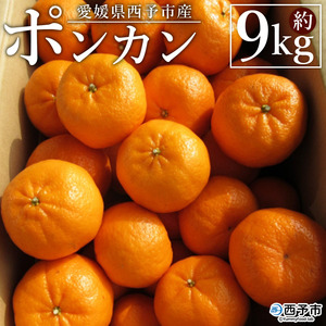 ＜愛媛県西予市産 ポンカン 約9kg 贈答用＞ 果物 くだもの フルーツ 蜜柑 ミカン 柑橘 ぽんかん 果実 果肉 ジューシー 特産品 美味しい おいしい 甘い ギフト 段畑みかん 愛媛県 西予市【常温】『2025年1月中旬～2月中旬迄に順次出荷予定』ADM0014