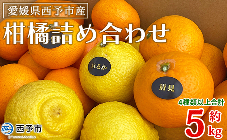 ＜愛媛県西予市産 柑橘詰め合わせ 合計約5kg＞ 果物 フルーツ お任せ おまかせ お楽しみ みかん ミカン 蜜柑 食べ比べ 詰合せ セット ご家庭用 柑橘 特産品 夕焼け山農園 愛媛県 西予市 【常温】『2026年1月上旬～4月中旬頃迄に順次出荷予定』AYN0002