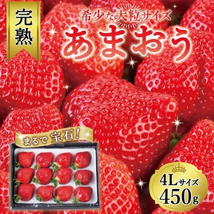 【2027年1月～4月出荷分予約販売】まるで宝石！希少な大粒サイズ！「完熟あまおう」4Lサイズ450g入り