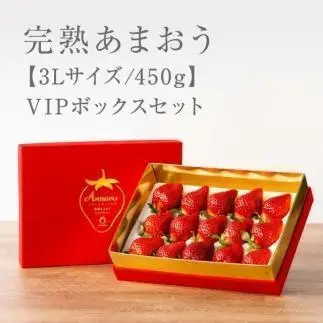 【2027年1月～4月出荷分予約販売】武下さんちの「完熟あまおう」 3Lサイズ 450g  赤いVIPボックスに入れて！