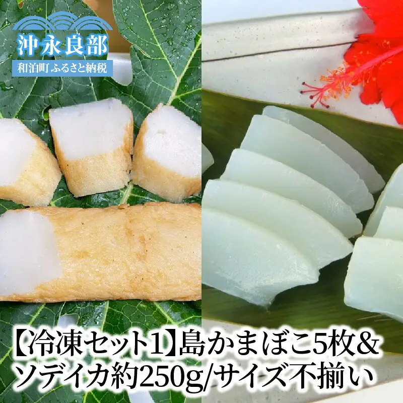 【 冷凍セット (1)】  島かまぼこ 5枚 ＆ ソデイカ 約250g / サイズ不揃い W009-061u 魚 冷凍 イカ 加工品