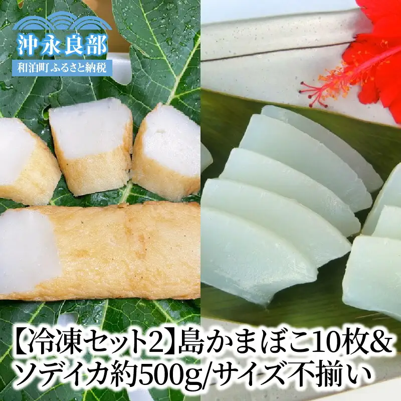 【 冷凍セット (2)】  島かまぼこ 10枚 ＆ ソデイカ 約500g / サイズ不揃い W009-062u 魚 冷凍 イカ 加工品