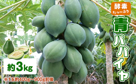 酵素たっぷり「 青パパイヤ 」3kg W009-065-01 惣菜