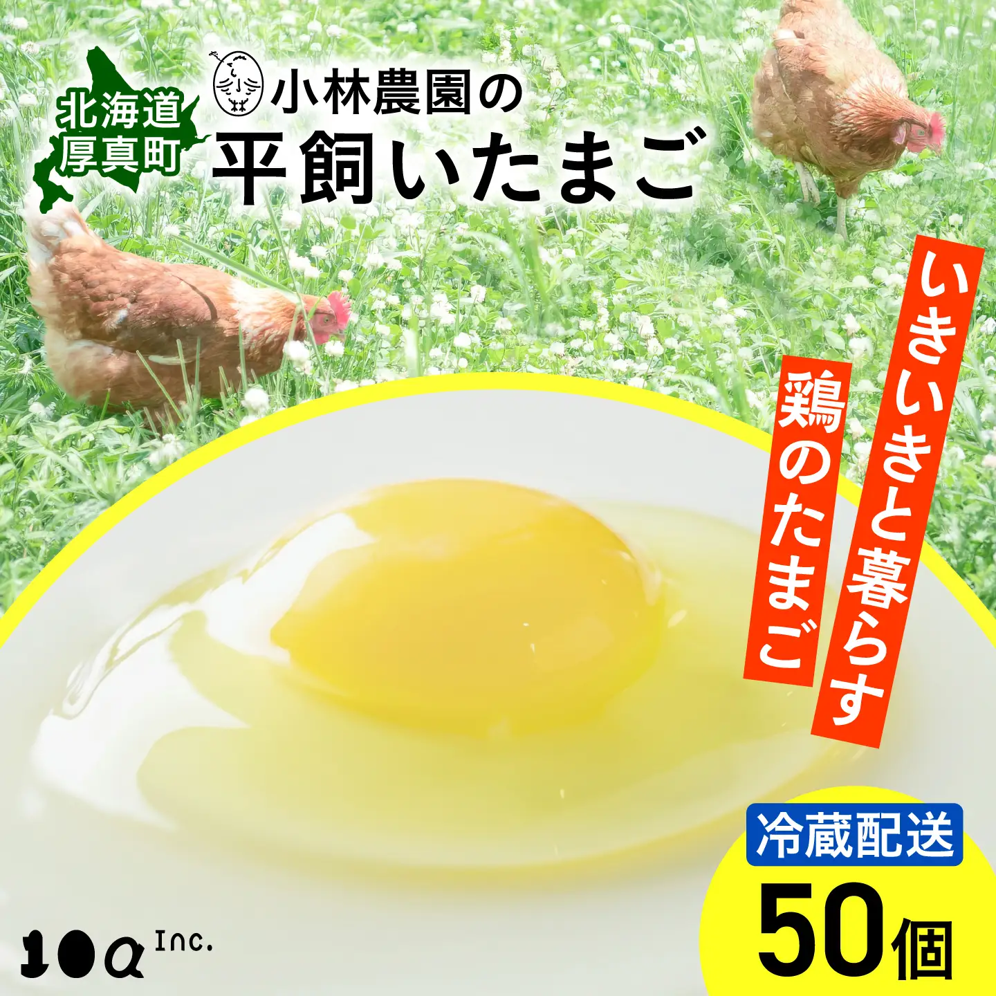 たまご 平飼い卵 50個 冷蔵 [AXAN010] たまご