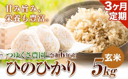 【3ヶ月定期便】新米 令和6年産 ひのひかり 玄米5kg 熊本県荒尾市産 つゆくさ農園 《お申込み月の翌月から出荷開始》 美味しい米 お米 熊本県産米 くまもと米 st-p