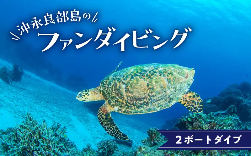 沖永良部島のファンダイビング 2ボートダイブ W015-002u チケット 体験