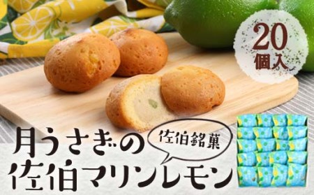 月うさぎの佐伯マリンレモン (計20個) レモン レモンケーキ スイーツ スウィーツ 菓子 焼き菓子 洋菓子 おやつ セット 個装 大分県 佐伯市【ER004】【古川製菓】