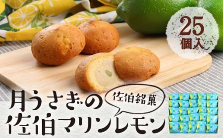 月うさぎの佐伯マリンレモン (計25個) レモン レモンケーキ スイーツ スウィーツ 菓子 焼き菓子 洋菓子 おやつ セット 個装 大分県 佐伯市【ER005】【古川製菓】