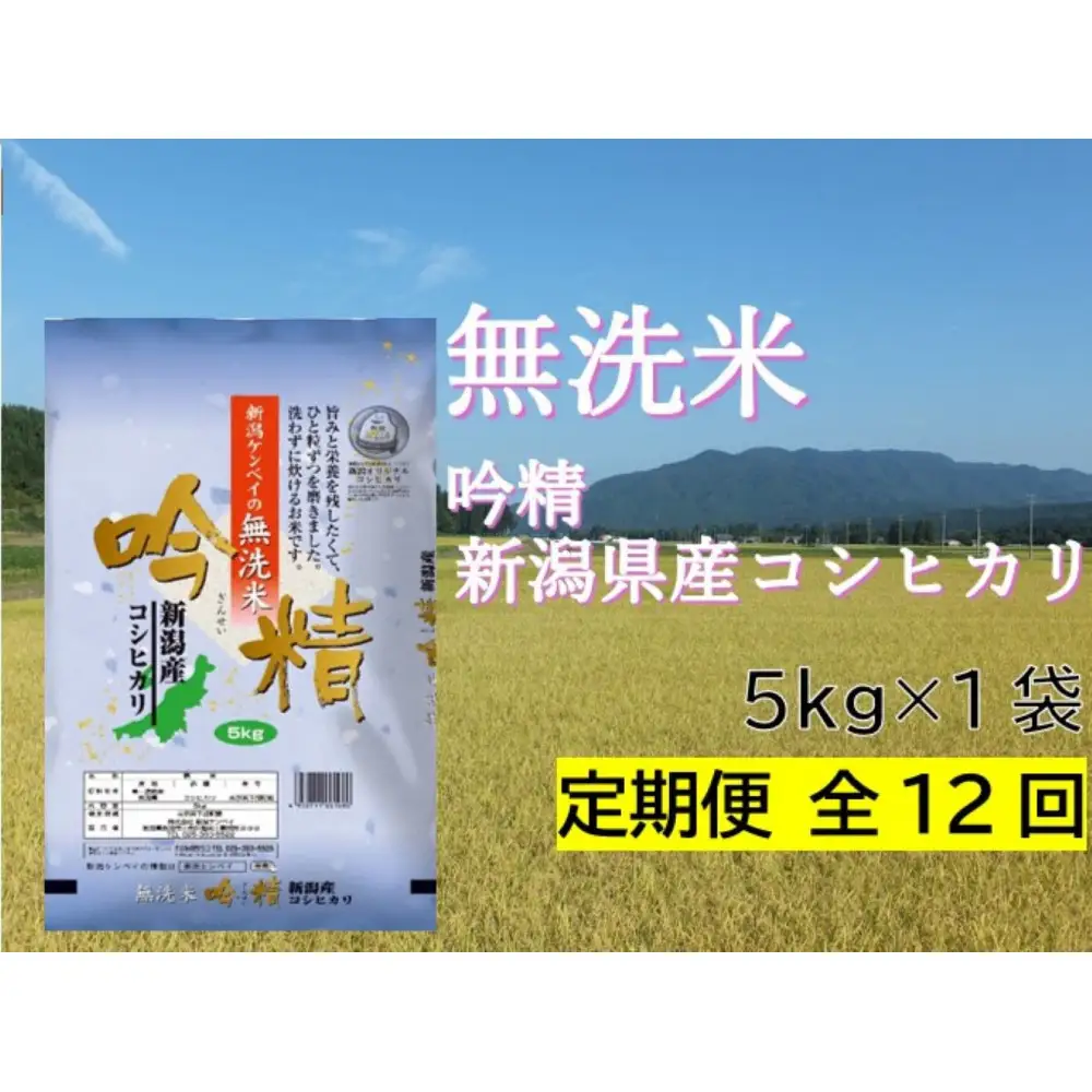 【定期便：全12回お届け】【無洗米吟精】新潟県産コシヒカリ5kg　無洗米 新潟県 新潟 こしひかり 5キロ 米 お米 コメ 新潟ケンベイ