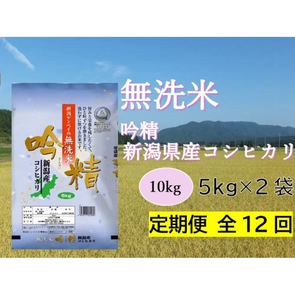 【定期便：全12回お届け】【無洗米吟精】新潟県産コシヒカリ10kg（5kg×2）無洗米 新潟県 新潟 こしひかり 10キロ 米 お米 コメ 新潟ケンベイ