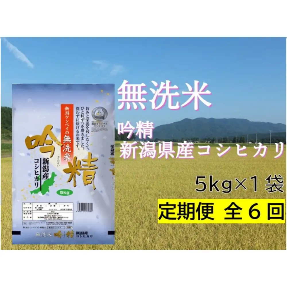 【定期便：全6回お届け】【無洗米吟精】新潟県産コシヒカリ5kg　無洗米　新潟県　新潟　こしひかり 5キロ 米 お米 コメ 新潟ケンベイ