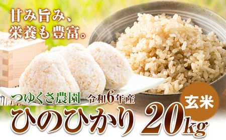 新米 令和6年産 ひのひかり 玄米20kg 熊本県荒尾市産 つゆくさ農園 《30日以内に出荷予定(土日祝除く)》 美味しい米 お米 熊本県産米 くまもと米 st-p