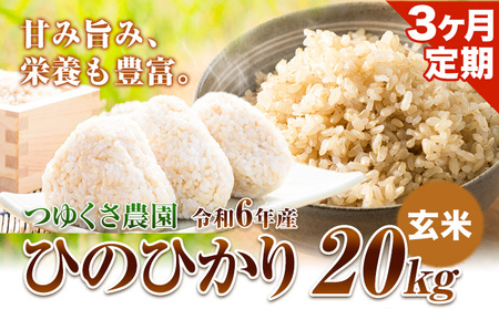 【3ヶ月定期便】新米 令和6年産 ひのひかり 玄米20kg 熊本県荒尾市産 つゆくさ農園 《お申込み月の翌月から出荷開始》 美味しい米 お米 熊本県産米 くまもと米 st-p