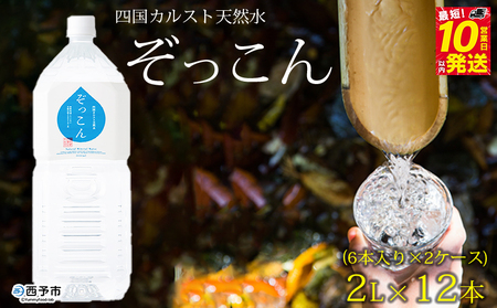 四国カルスト天然水ぞっこん 2L(6本入り)×2ケース 計12本 NZS0003