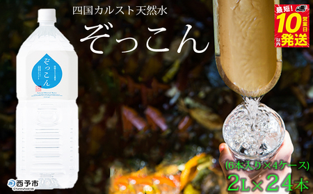 四国カルスト天然水ぞっこん 2L(6本入り)×4ケース 計24本 NZS0007