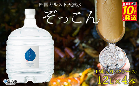 四国カルスト天然水ぞっこん (12L×2本)×2ケース 計4本 NZS0008