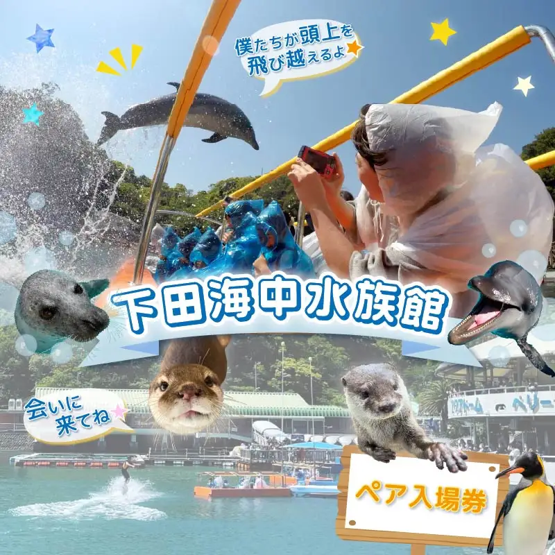 【下田海中水族館】ペア入場券 [水族館 イルカ]