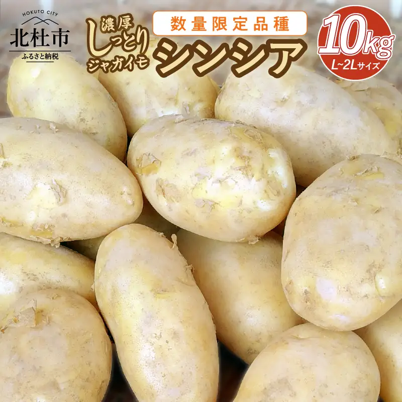 【数量限定品種】濃厚しっとり食感　ジャガイモ　シンシア　10kg [h155]