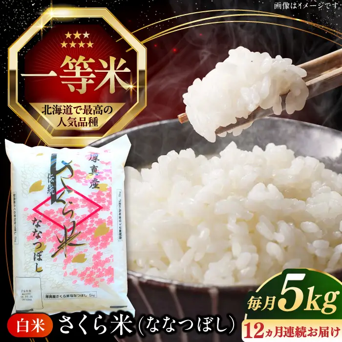 【全12回定期便】【令和7年産】ななつぼし さくら米 5kg 1年 12ヵ月 お米 白米 ななつぼし 特A 一等米 北海道 [AXAB007]