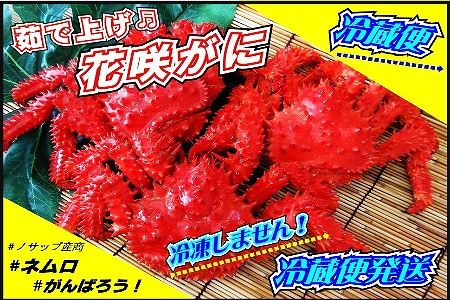 【北海道根室産】花咲がに 4～6尾(計3kg以上)(チルド便発送)[7月下旬以降発送] D-59033