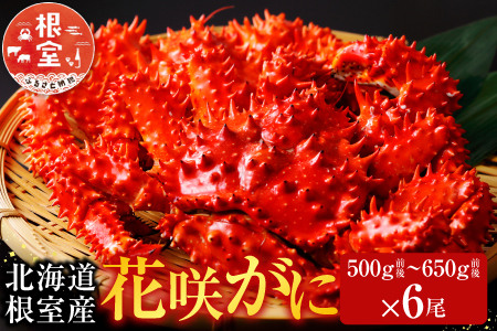 【北海道根室産】花咲かに500～650g×6尾 D-70046