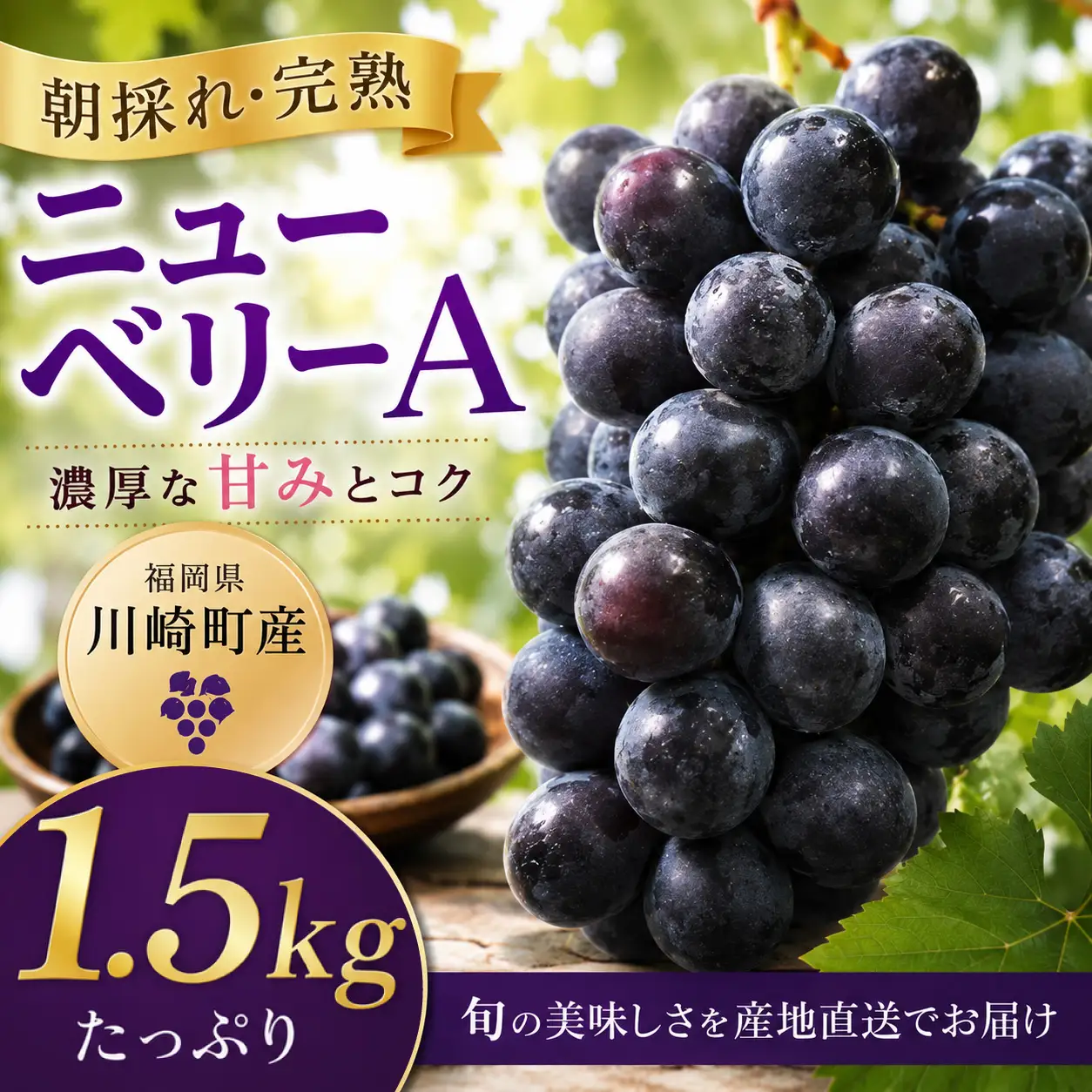 ぶどう ニューベリー A 1.5㎏【先行予約】【2026年8月下旬から発送】｜ぶどう RYE