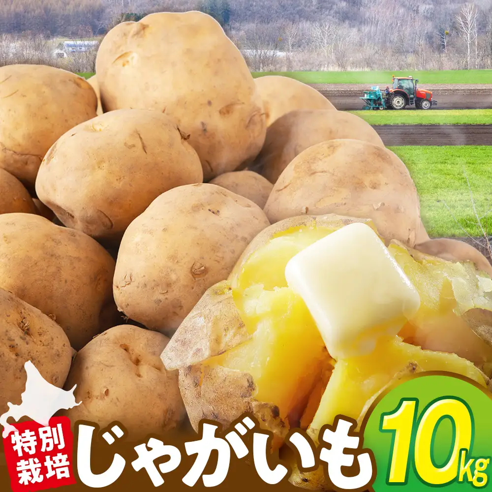 【R8年産先行受付 じゃがいも 10kg 特別栽培（男爵） | ジャガイモ 芋 男爵 馬鈴薯 大容量 新鮮 野菜 煮物 カレー シチュー ポテト 保存 特産 産地直送 北海道 津別町 送料無料