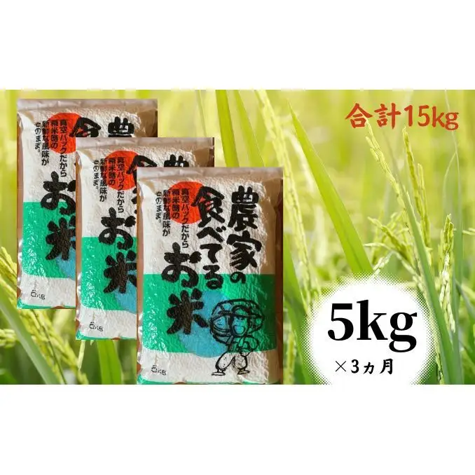 米農家の食べてるお米兵庫県産定期便米【5kg×3回】【定期便】