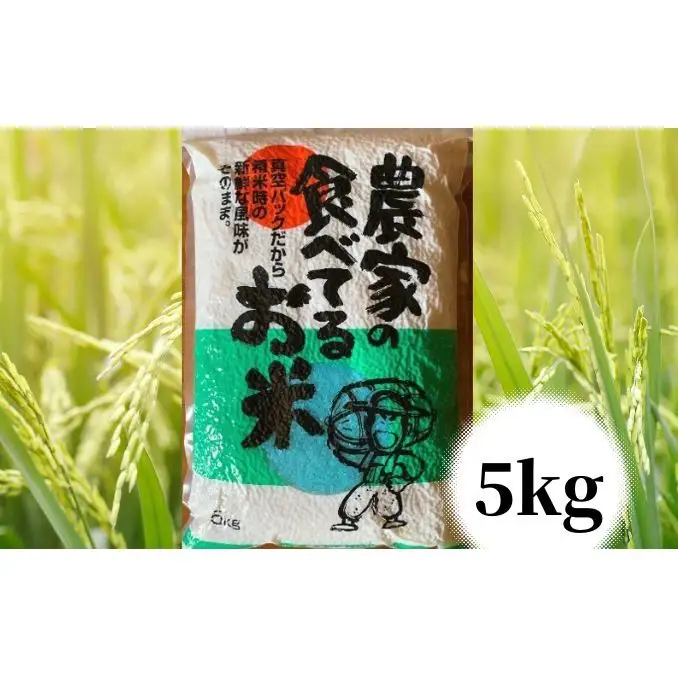 米農家の食べてるお米兵庫県産真空パック米【5kg】